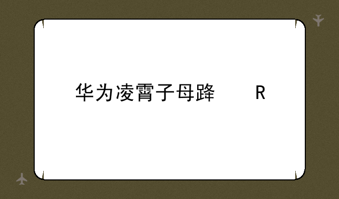 华为凌霄子母路由