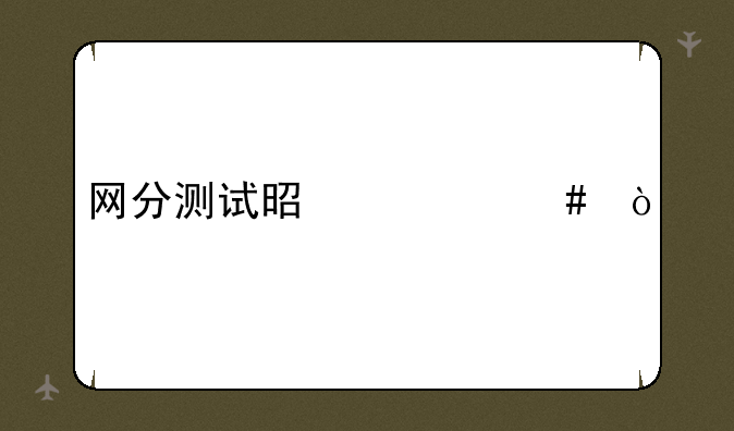 网分测试是什么？