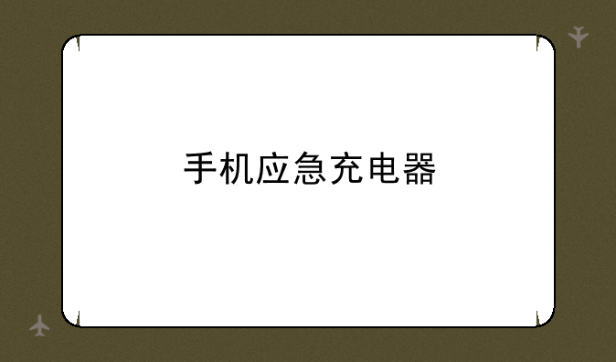 手机应急充电器