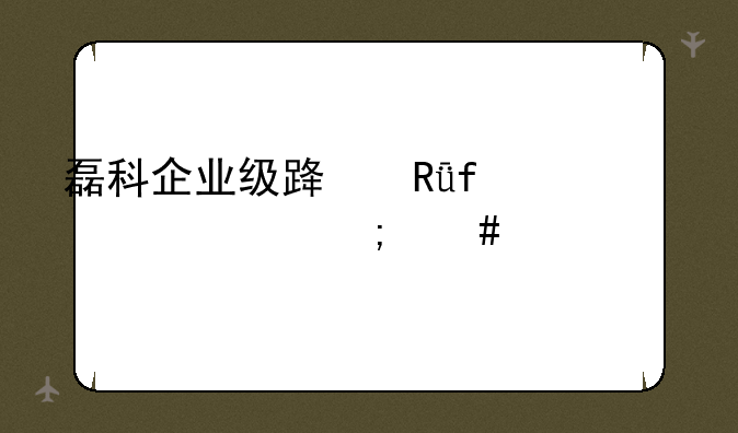磊科企业级路由器nr238怎么设置