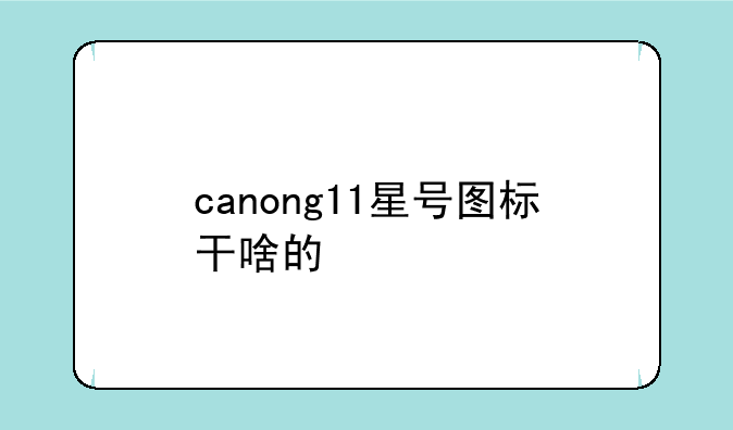 canong11星号图标干啥的