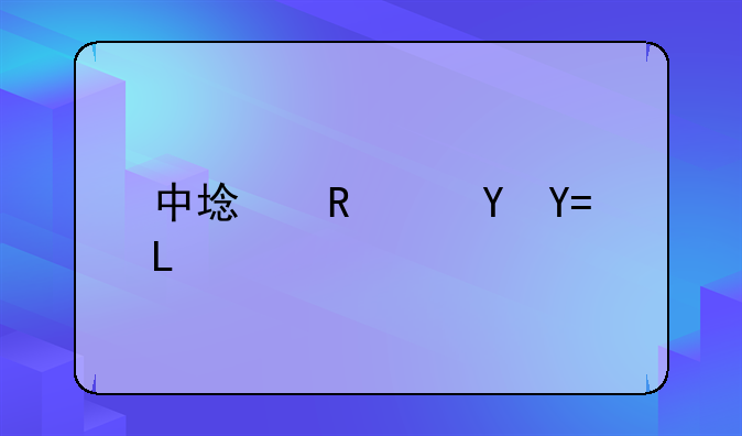 中域电讯ViVOS11t手机报价