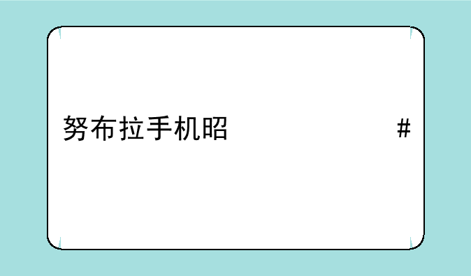 努布拉手机是什么牌子的？
