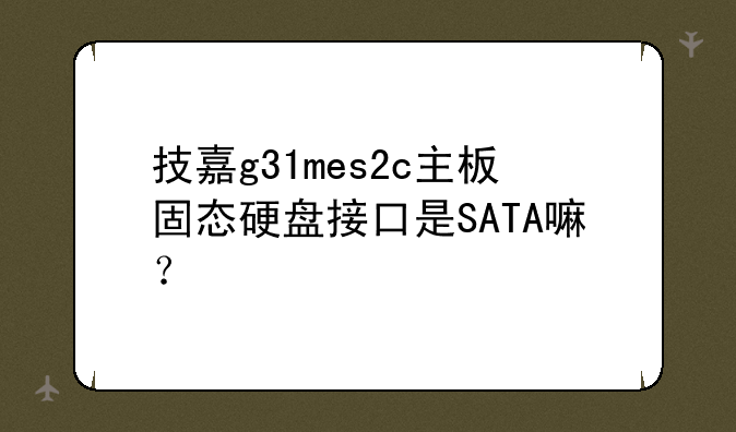 技嘉g31mes2c主板固态硬盘接口是SATA嘛？