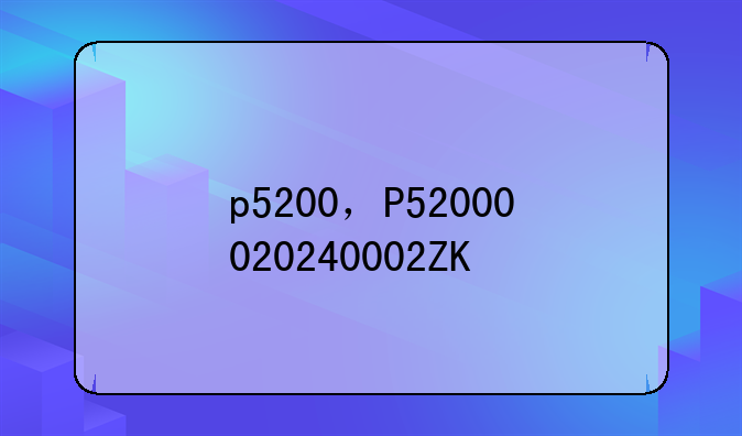 p5200，P52000020240002ZK