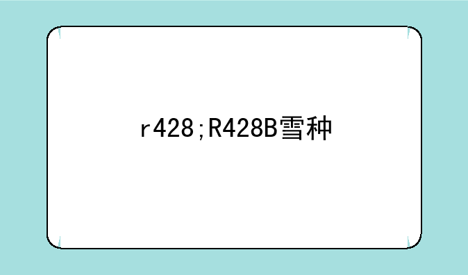 r428;R428B雪种