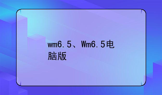 wm6.5、Wm6.5电脑版