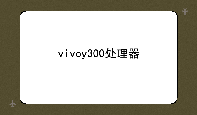 vivoy300处理器