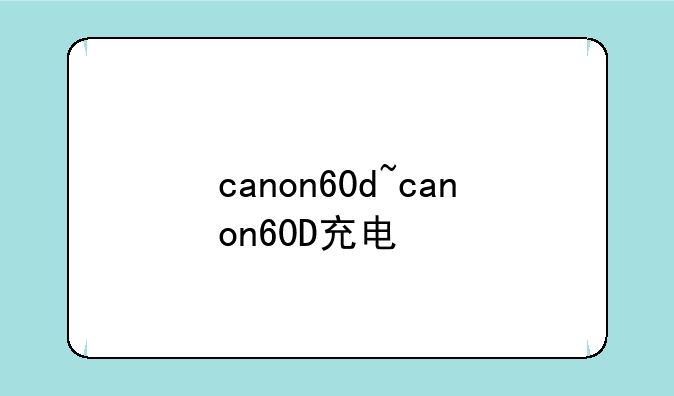 canon60d~canon60D充电