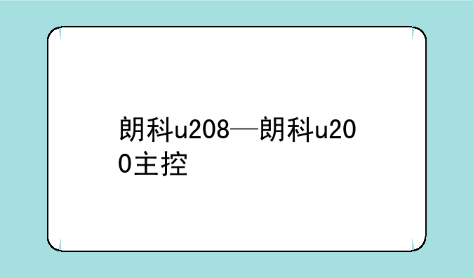 朗科u208—朗科u200主控