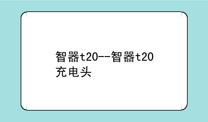 智器t20--智器t20充电头