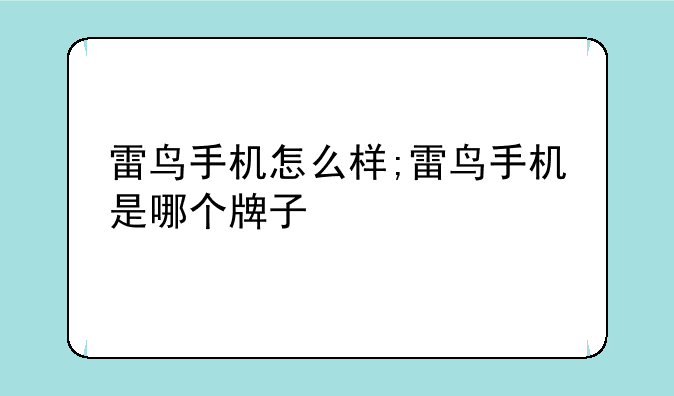 雷鸟手机怎么样;雷鸟手机是哪个牌子