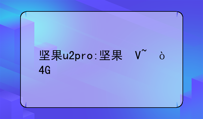 坚果u2pro:坚果参数pro2