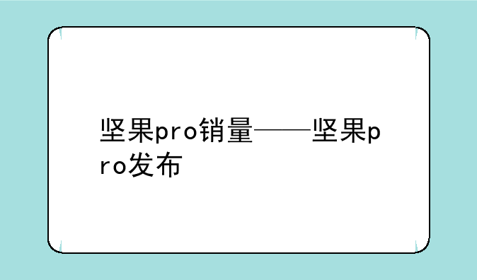 坚果pro销量——坚果pro发布