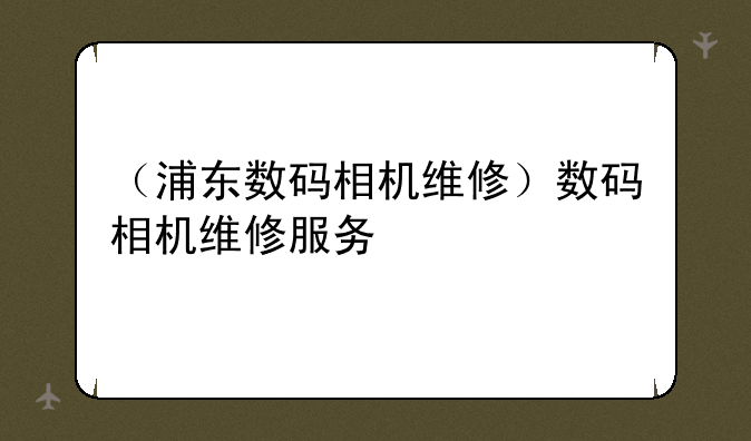 （浦东数码相机维修）数码相机维修服务