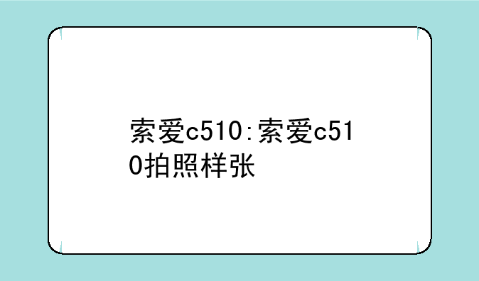 索爱c510:索爱c510拍照样张