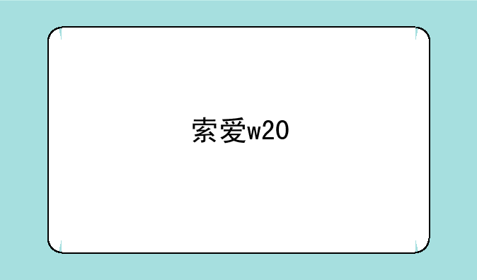 索爱w20