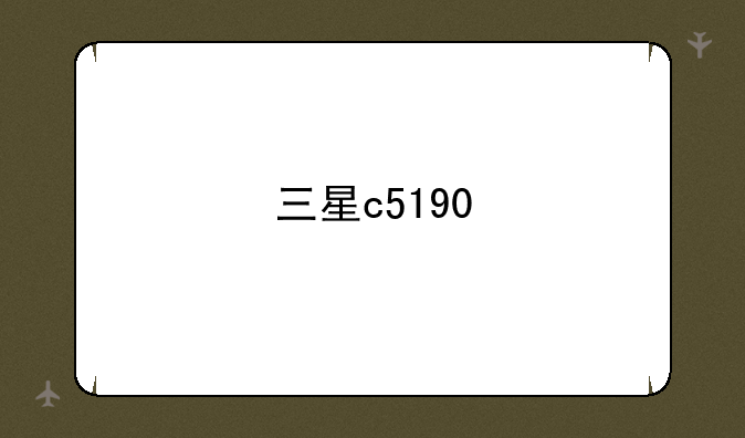 三星c5190