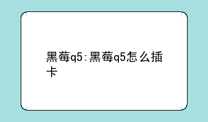 黑莓q5:黑莓q5怎么插卡