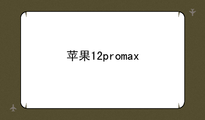 苹果12promax