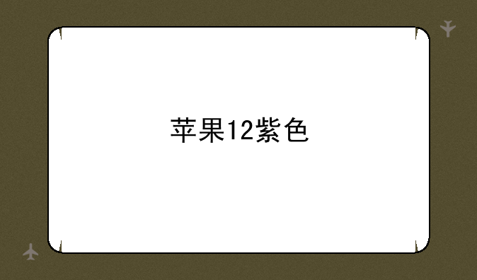 苹果12紫色