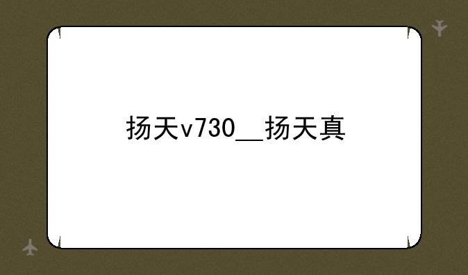 扬天v730__扬天真